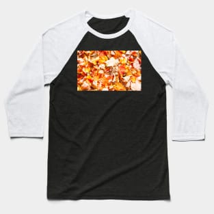 Fall colors Baseball T-Shirt